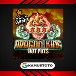 Dragon King Hot Pots