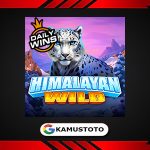 Himalayan Wild