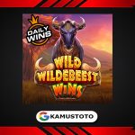 Wild Wildebeest Wins