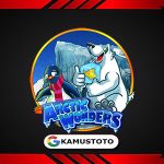 Arctic Wonders