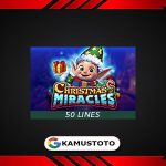 Christmas Miracles