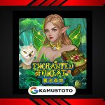 Enchanted Forest
