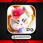 Fortune Rabbit