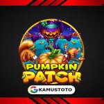Pumpkin Patch