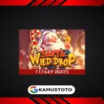 Santa Wild Drop