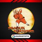 Shaolin Fortunes