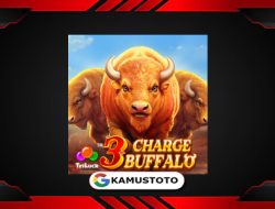 3 Charge Buffalo