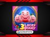 3 Lucky Piggy
