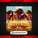 Buffalo Blaze