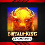 Buffalo King