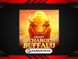 Charge Buffalo Ascent