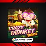 Crazy Monkey Deluxe