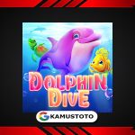 Dolphin Dive