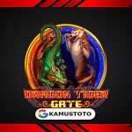 Dragon Tiger Gate