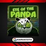 Eye of the Panda