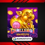 FEATURE BUY・GOLDEN PIG