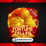 FORTUNE TELLER