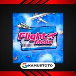 Flight Mode