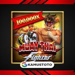 Muay Thai Fighter