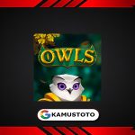 Owls