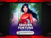 Sakura Fortune Epic Bloom
