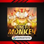 Triple Kung Fu Monkey