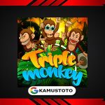 Triple Monkey